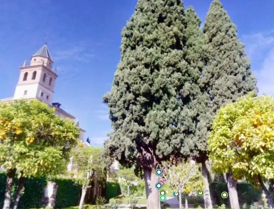 Escaneado láser para diseño de anclaje en ciprés en La Alhambra